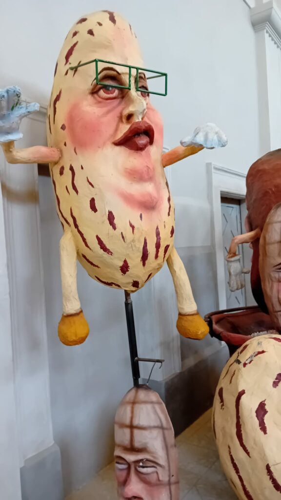 Carnival Santhià (11)