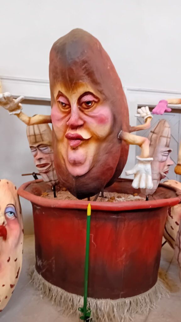 Carnival Santhià (5)
